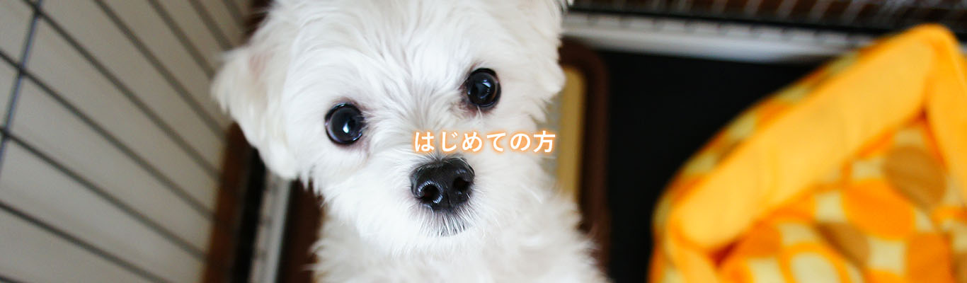 はじめての方