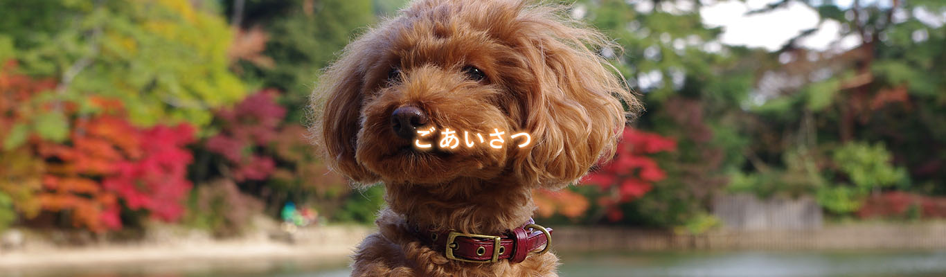 ごあいさつ