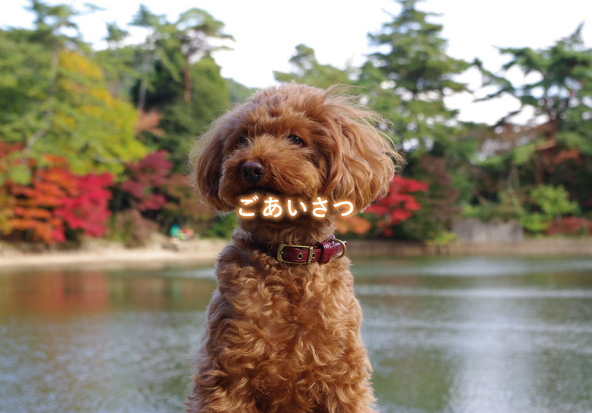 ごあいさつ