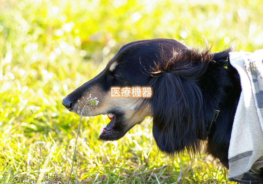 医療機器