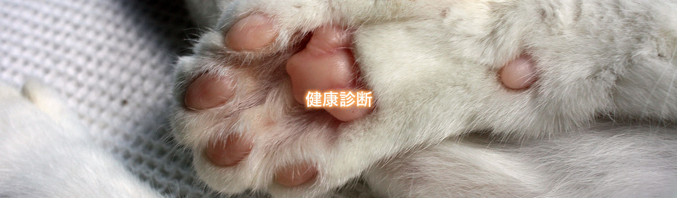 健康診断