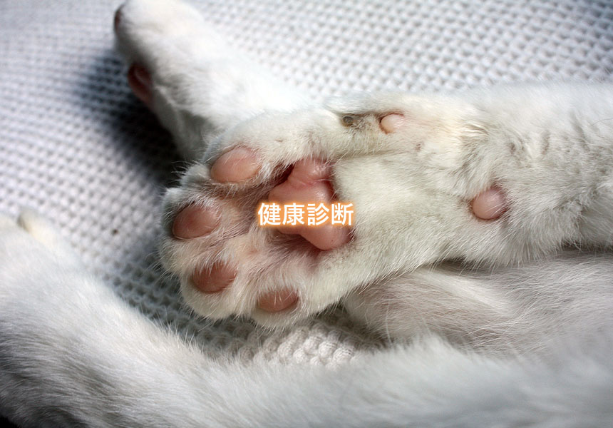 健康診断