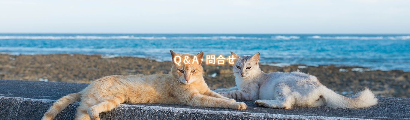 Q＆A・問合せ